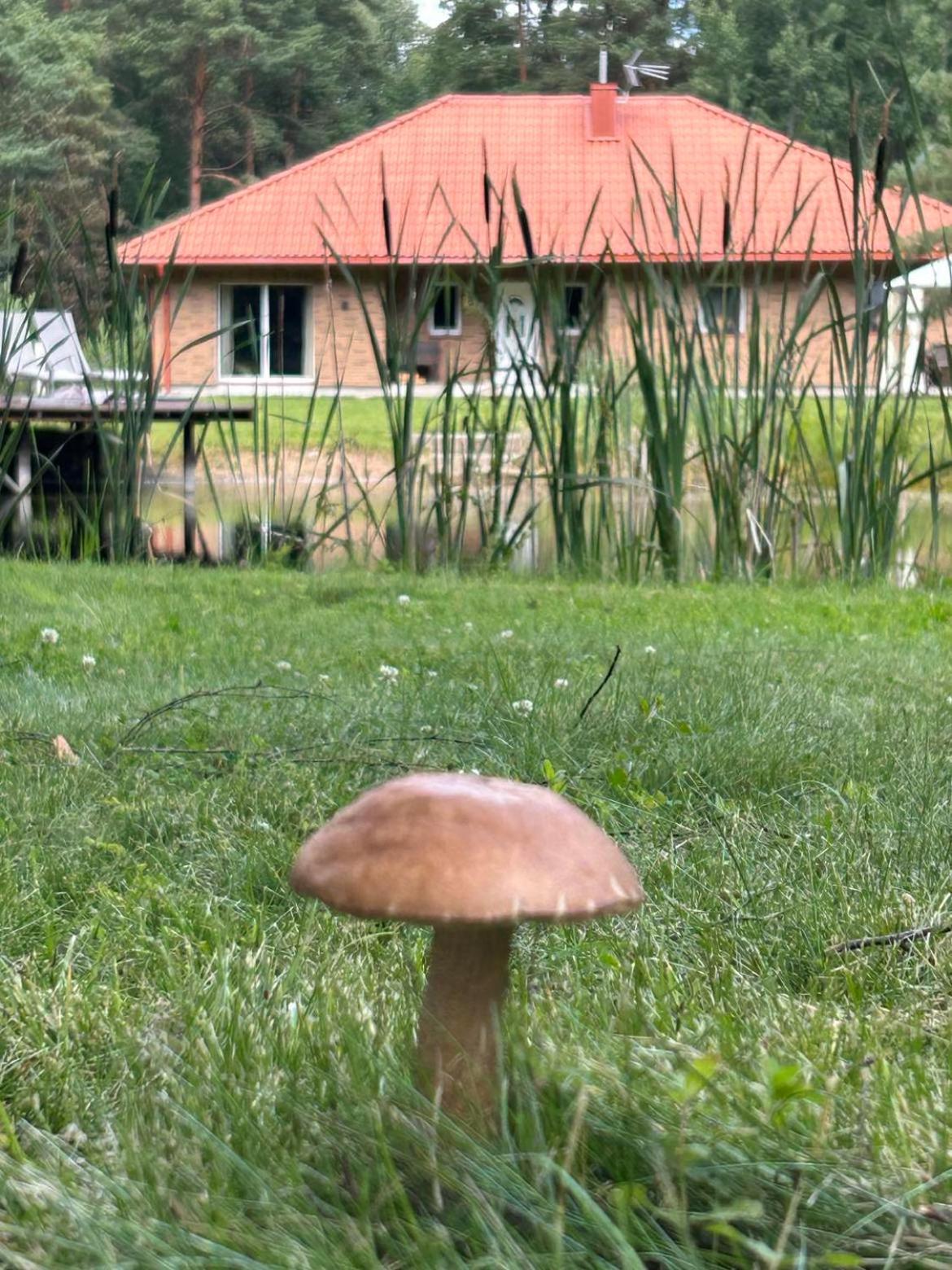 Photo 31