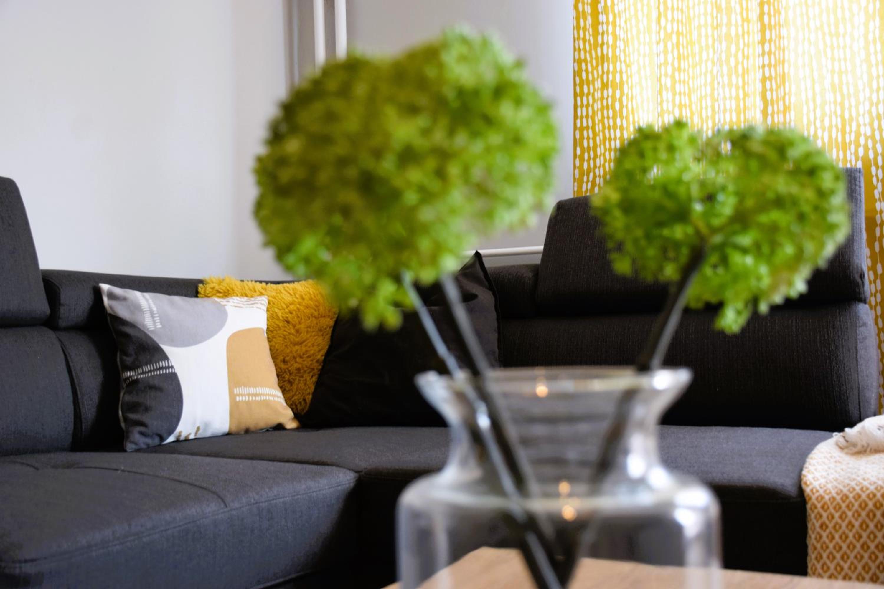 Shine Apartman