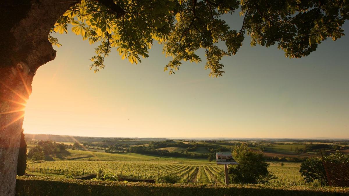 Domaine de La Monestarié