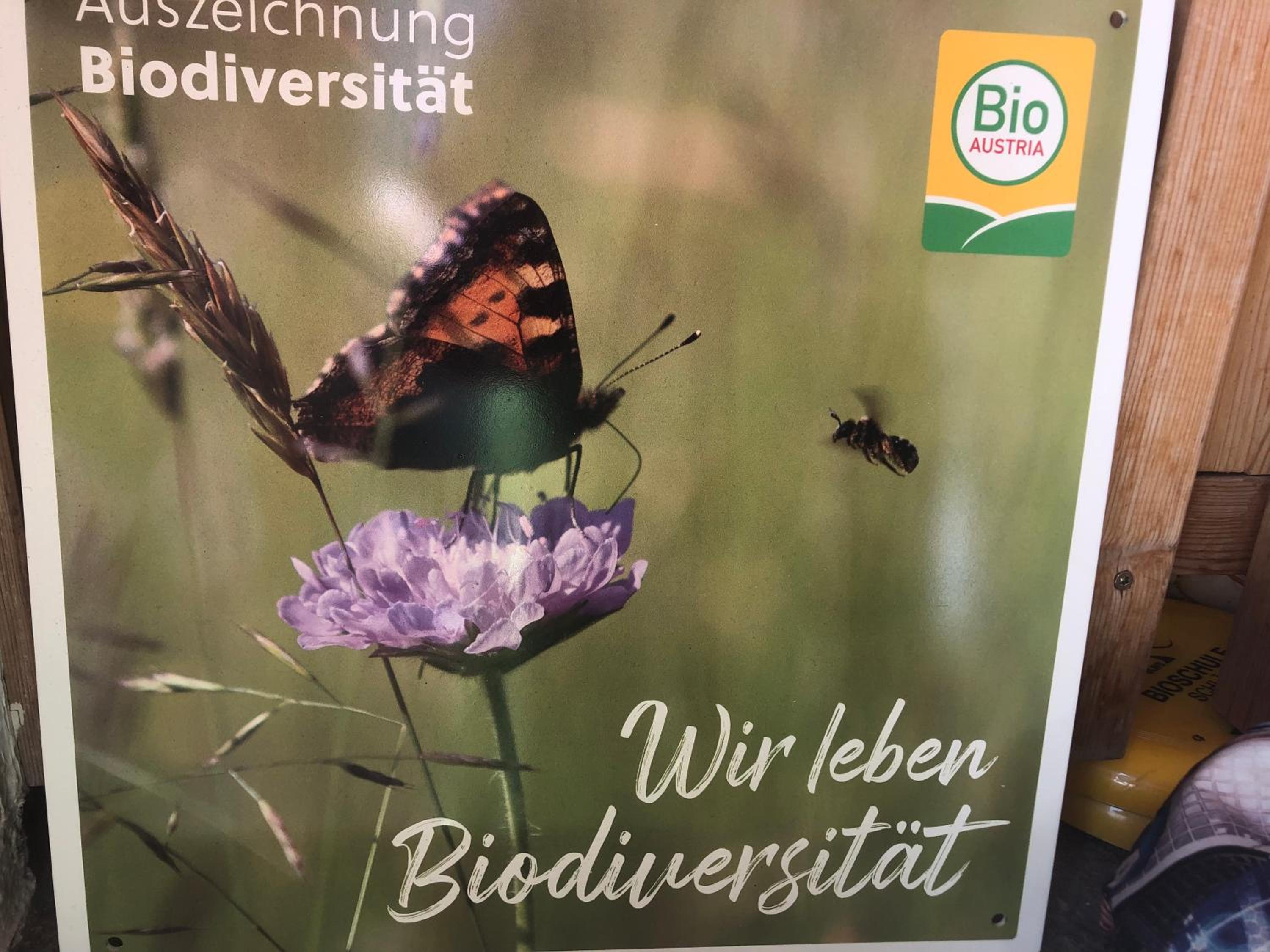 Biohof Sauschneider view 3