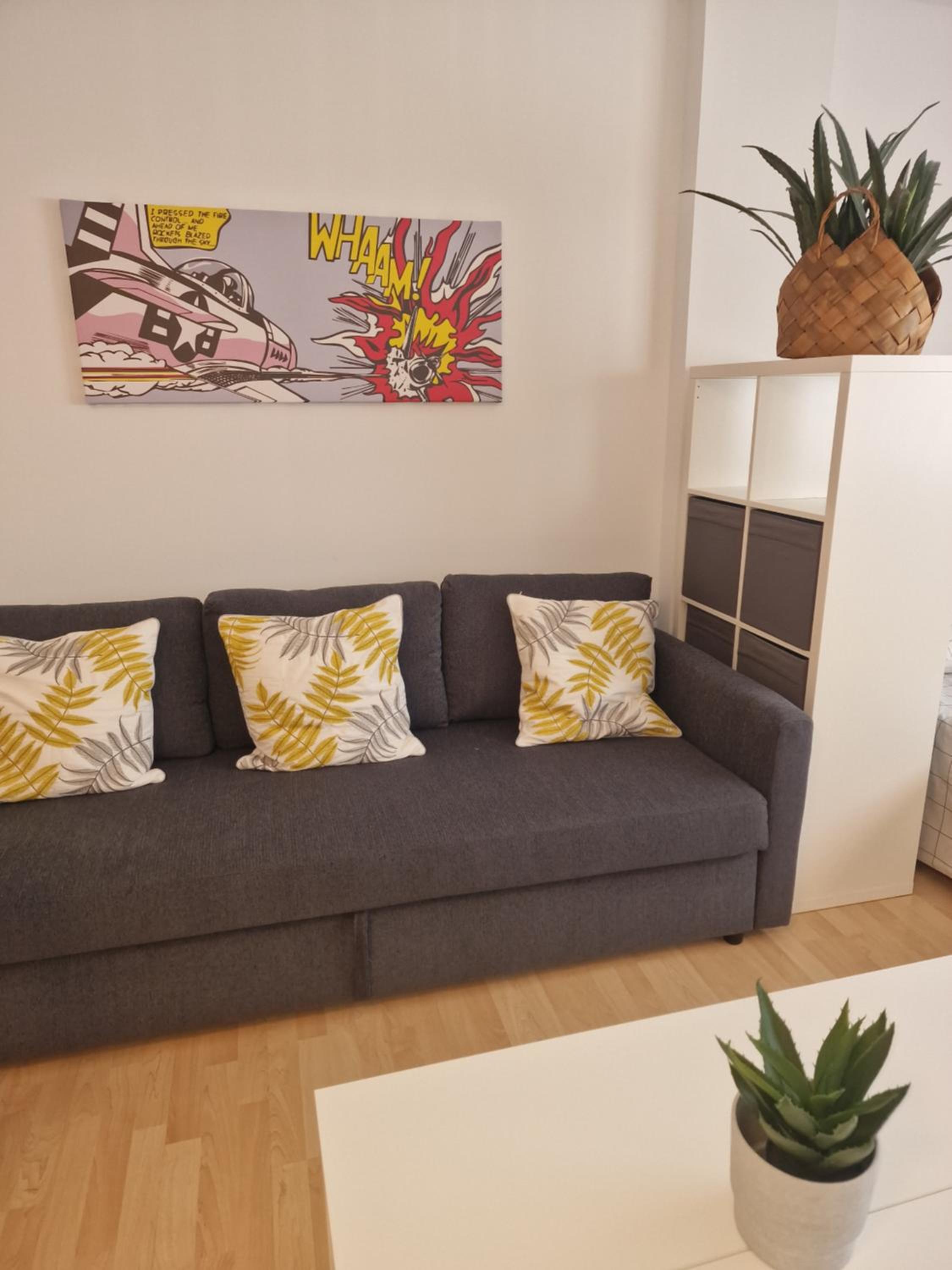 PACIFICO 18