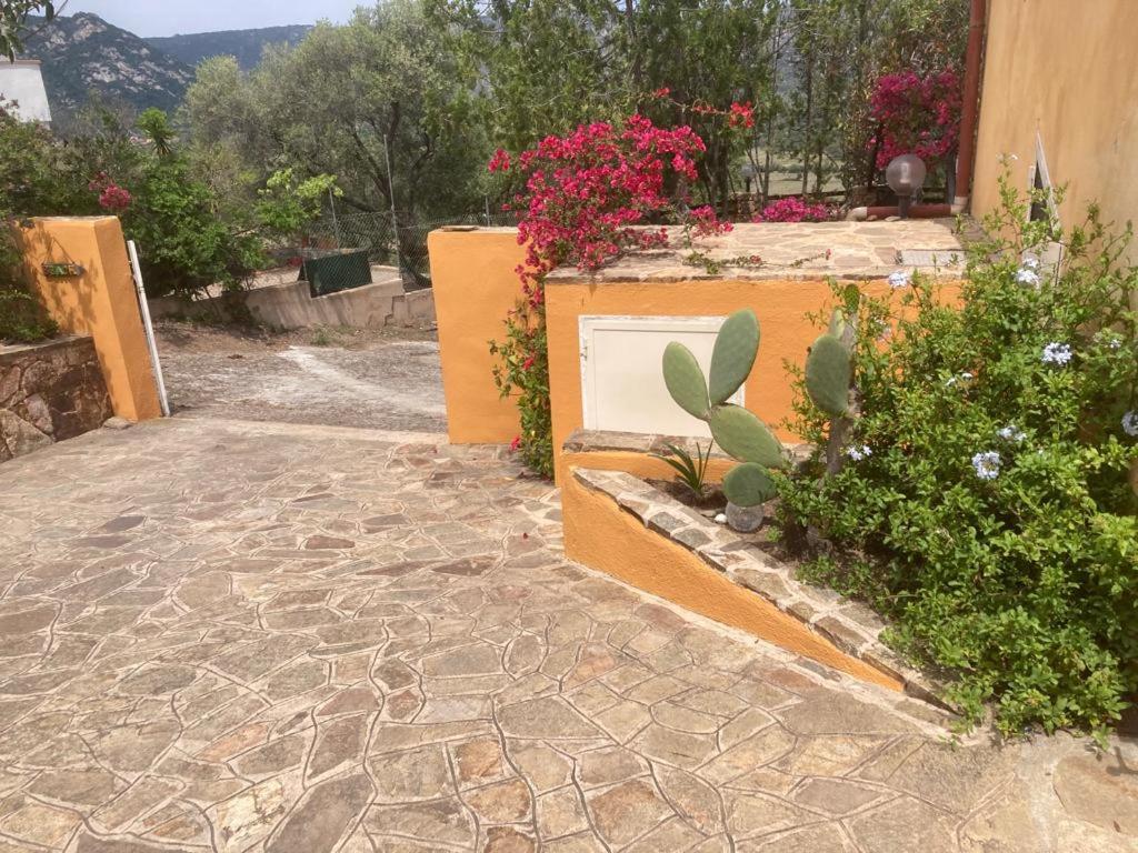 Casa Li Scopi - Ocean View photo 5