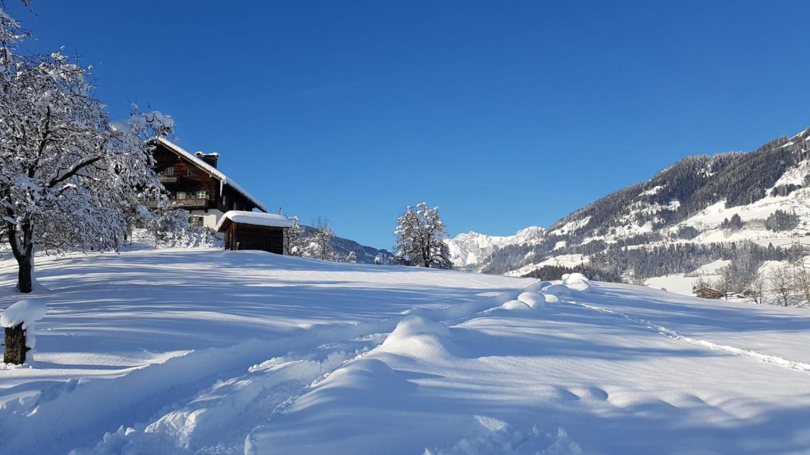 Appartementhaus Goldnugget