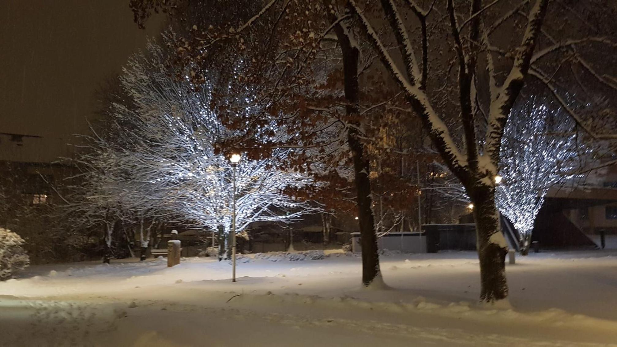 Appartementhaus Goldnugget