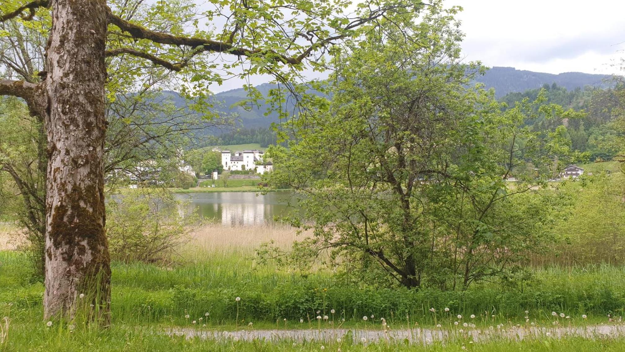 Appartementhaus Goldnugget
