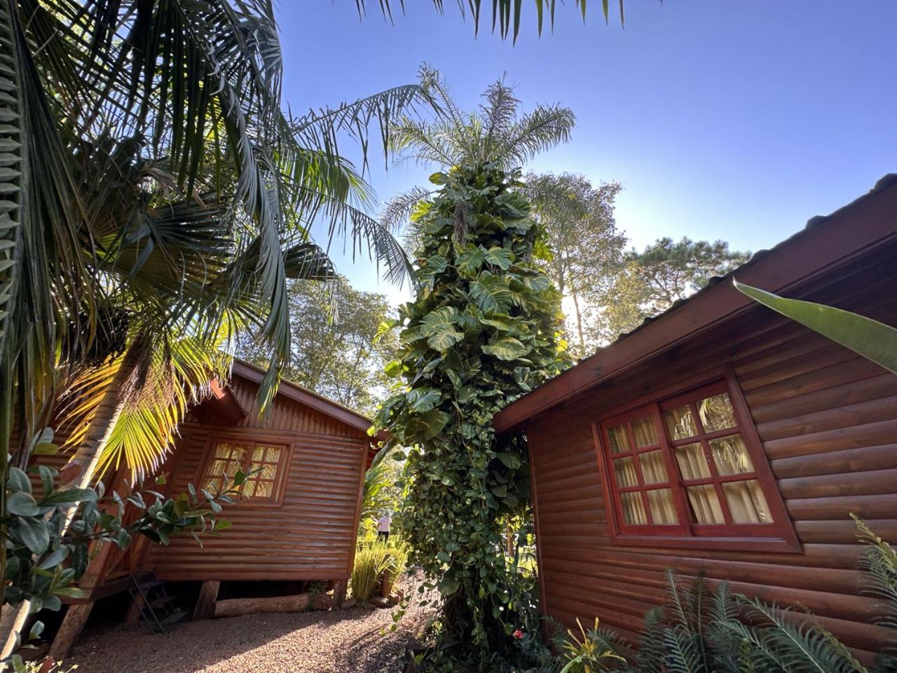 Terra Lodge
