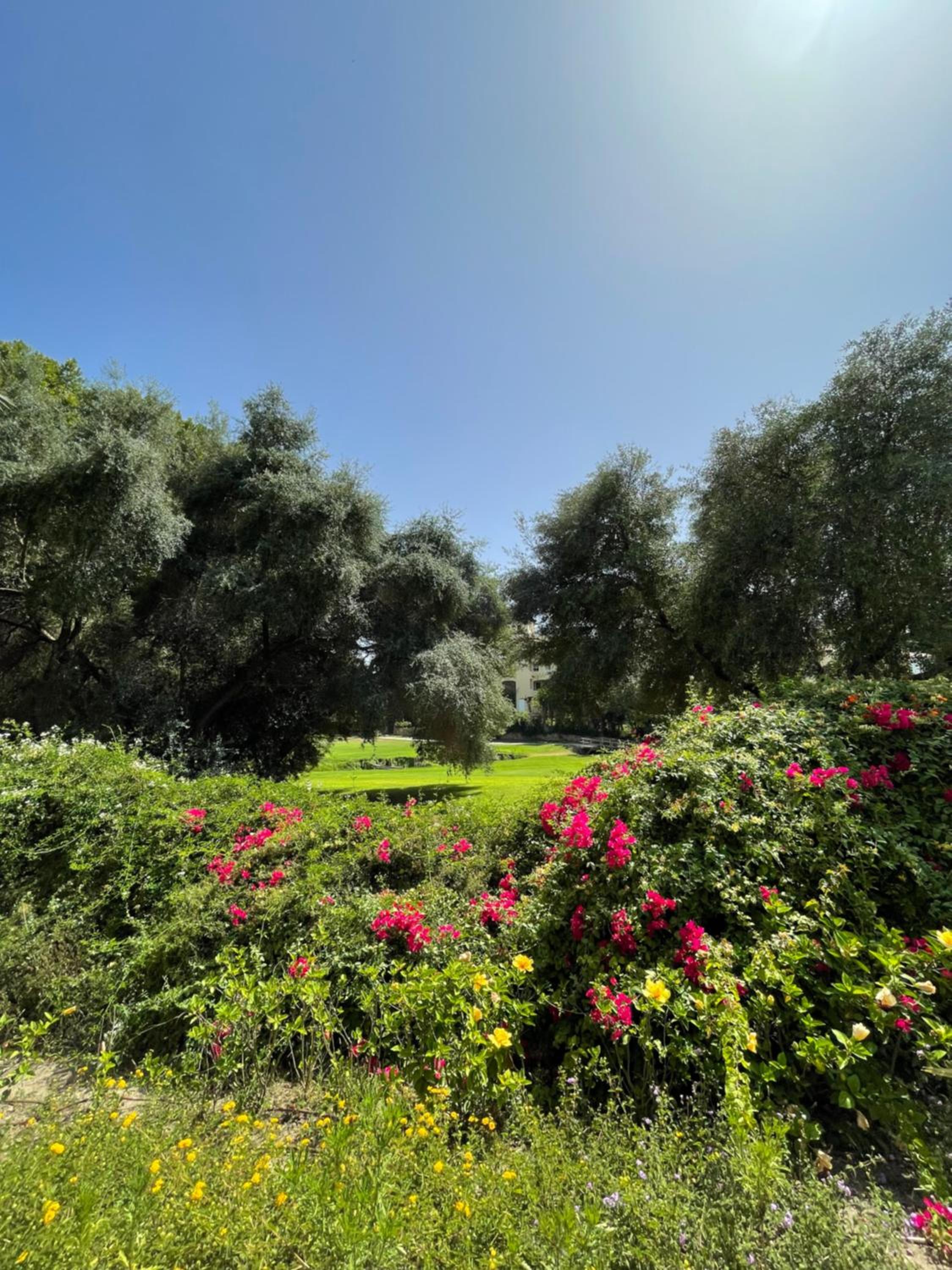 Casa de Loros