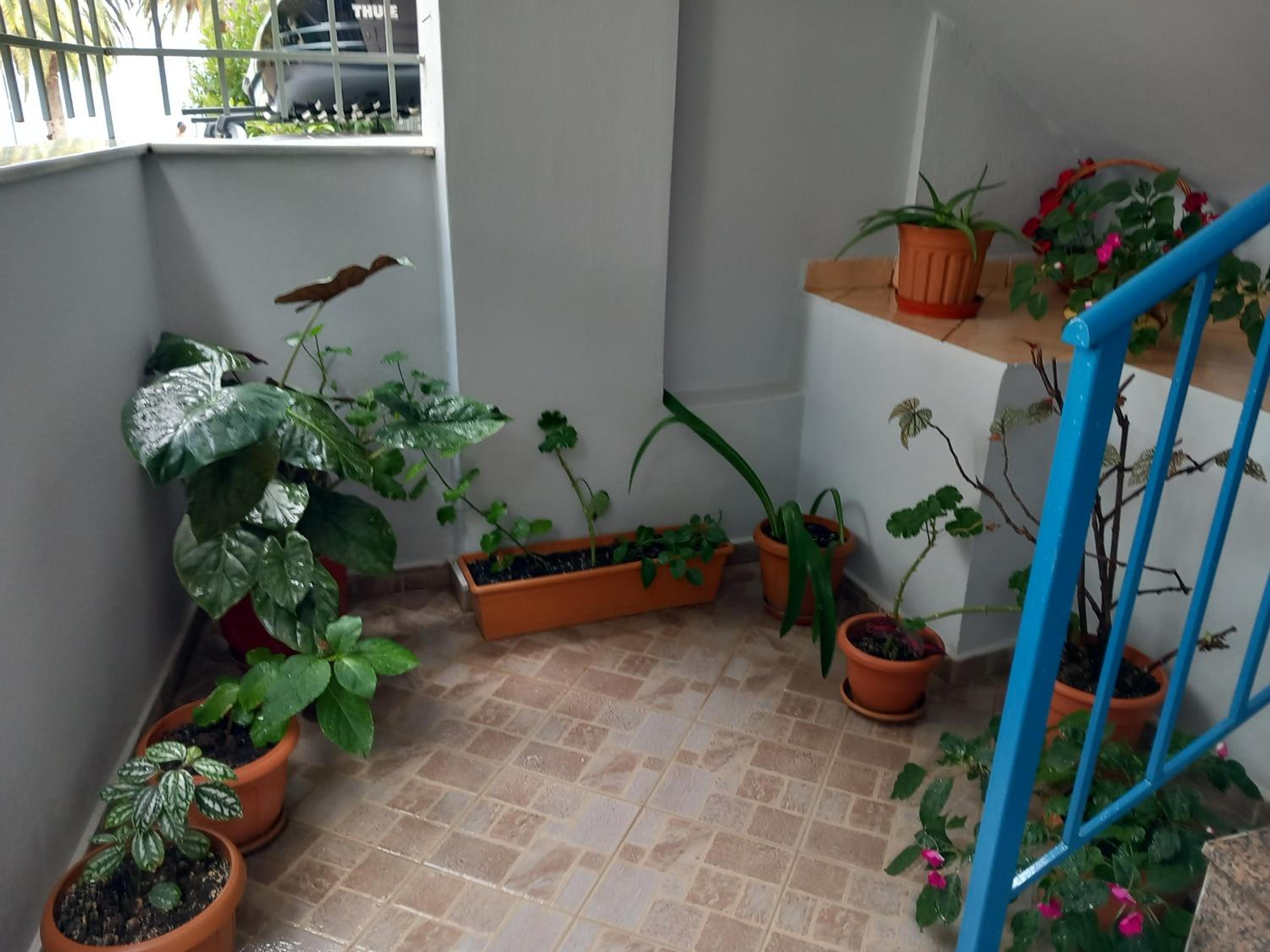 Eleanas Apartament