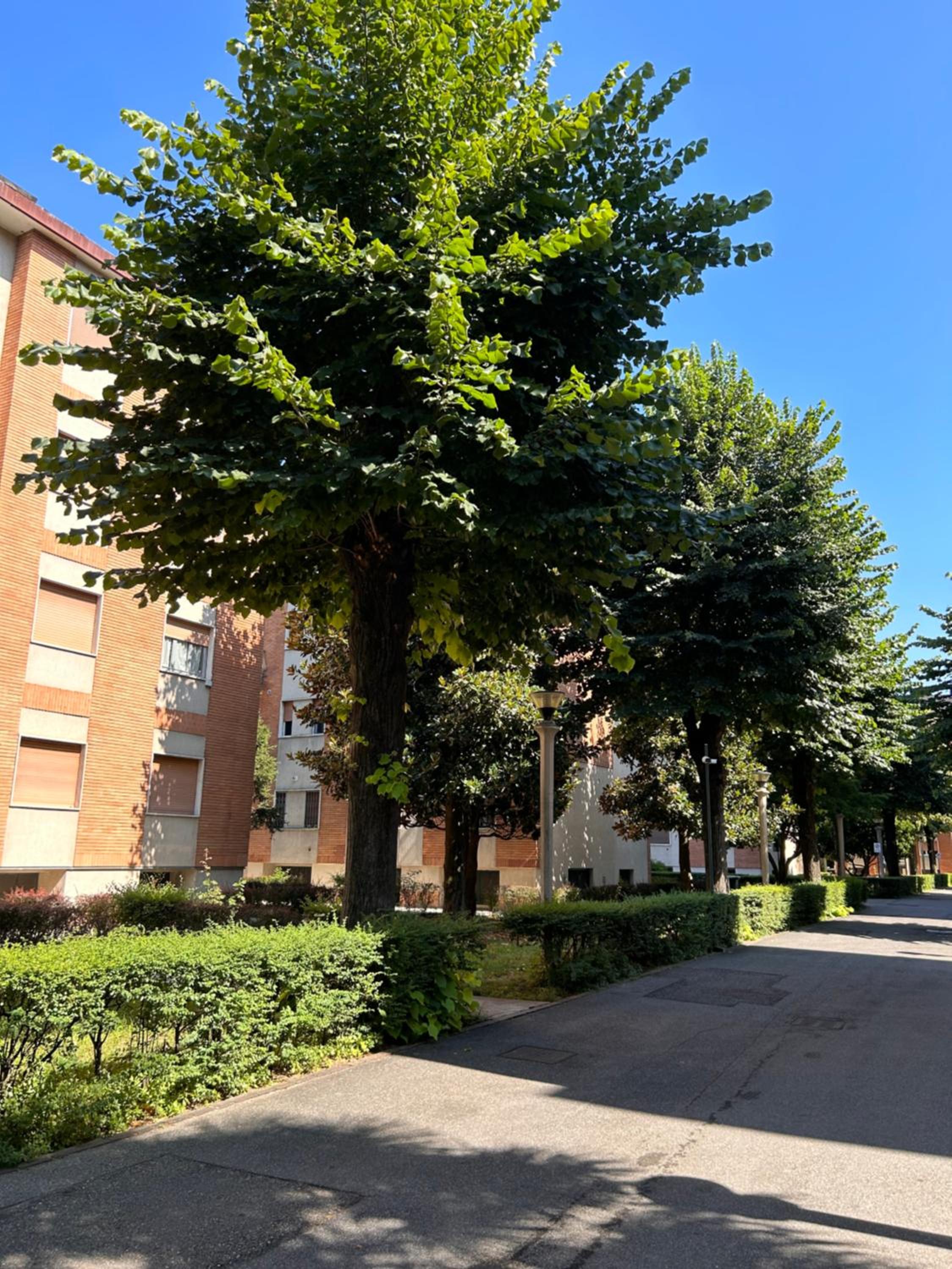 Soggiornare sul Naviglio