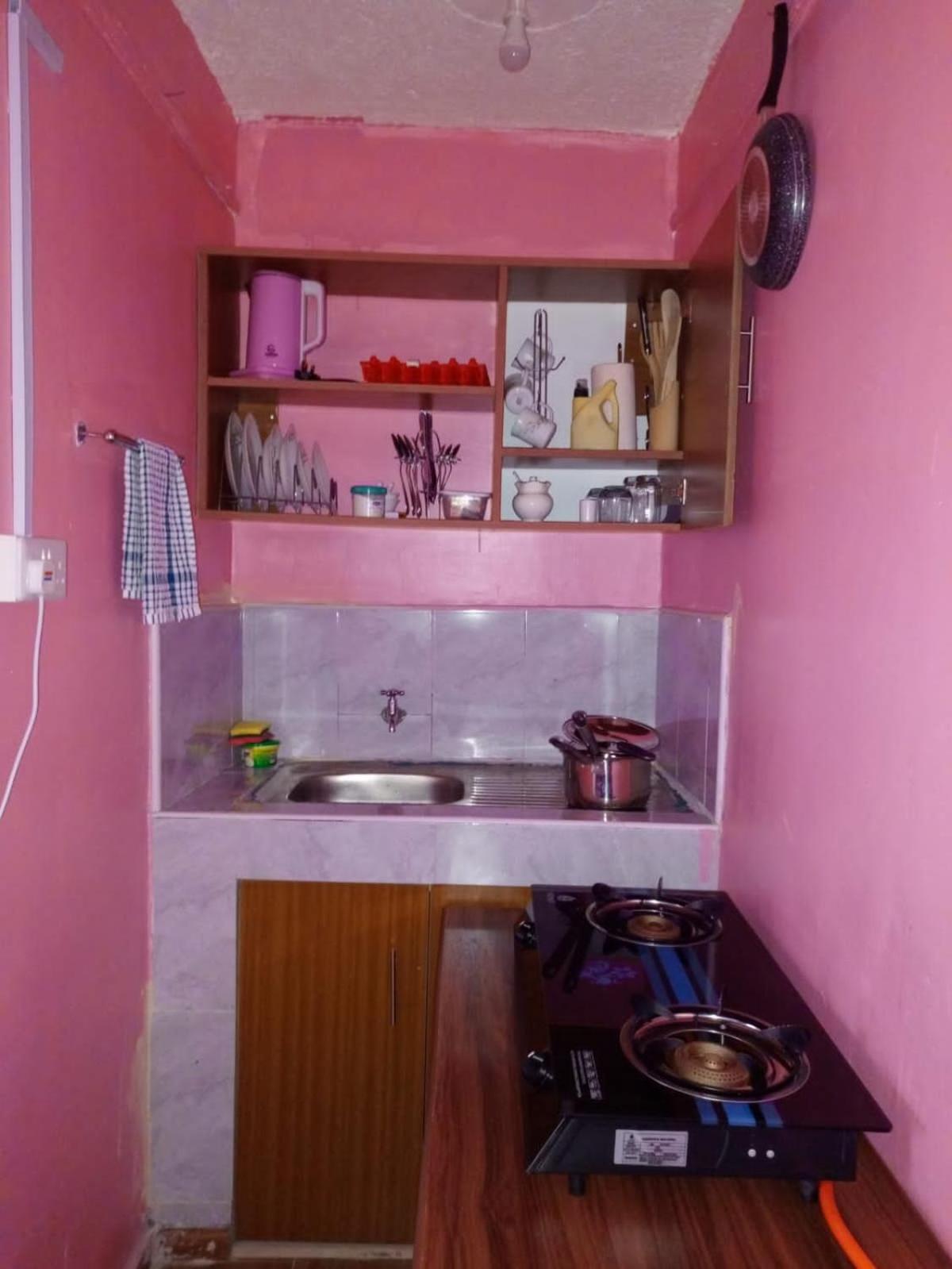 Classy Furnished Studio Apartment. Naivasha Town view 5