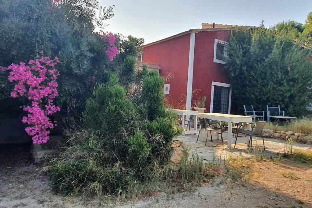 Oasis de Ifre