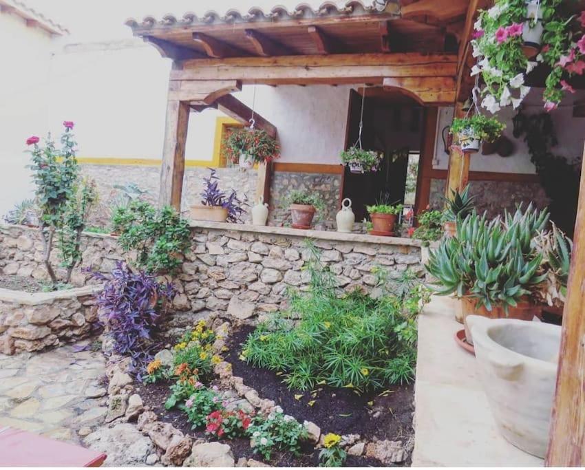Oasis de Ifre