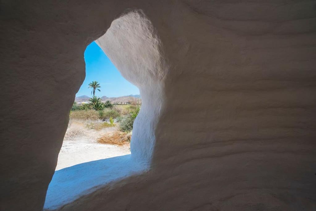 Oasis de Ifre