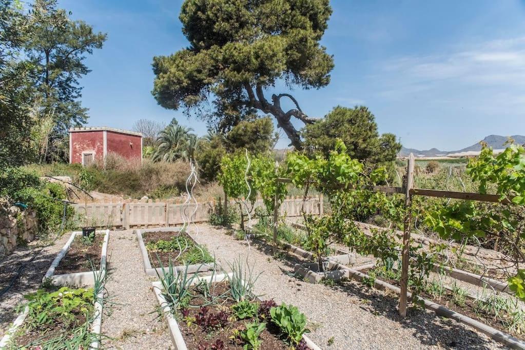 Oasis de Ifre