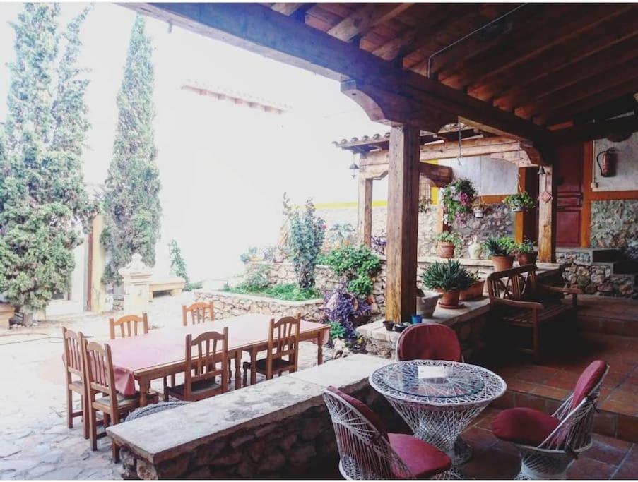 Oasis de Ifre