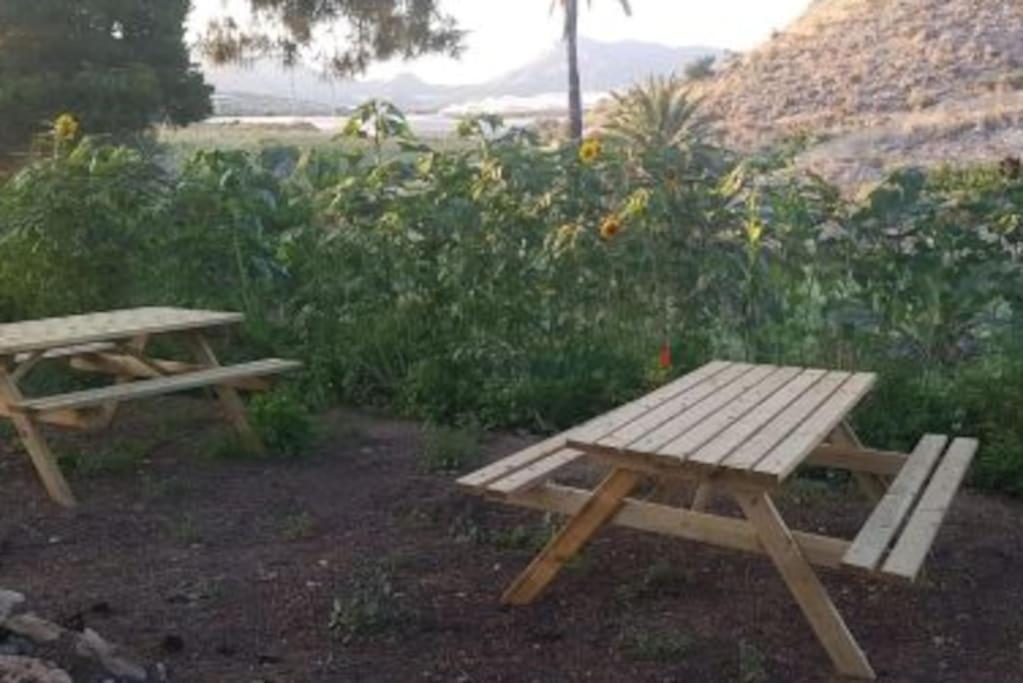 Oasis de Ifre