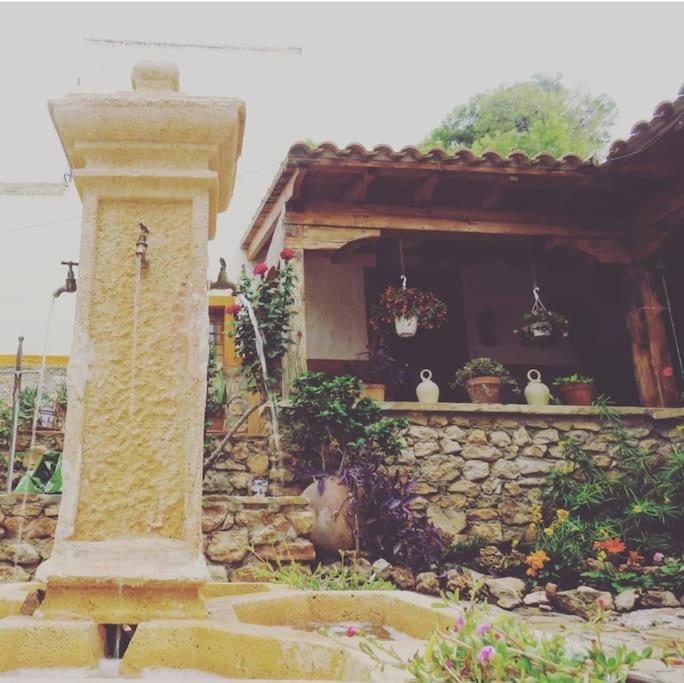Oasis de Ifre
