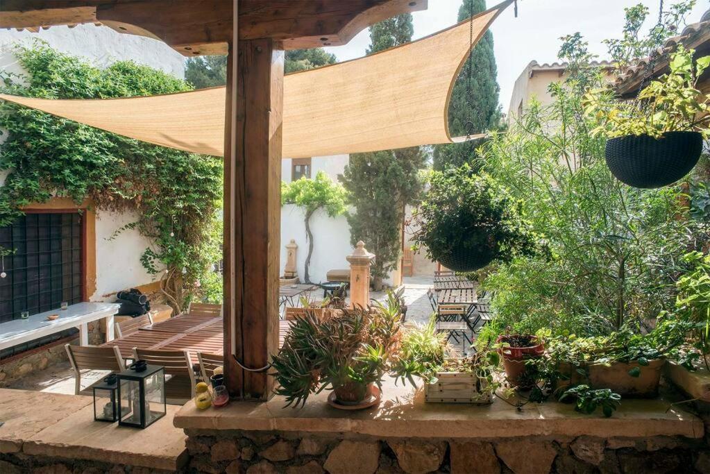 Oasis de Ifre