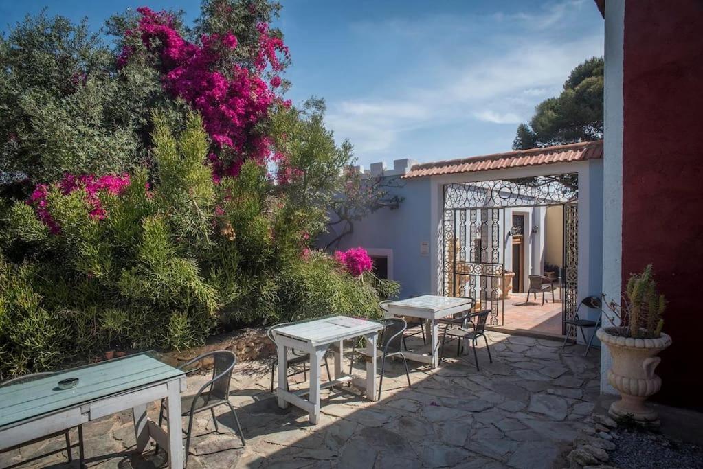 Oasis de Ifre