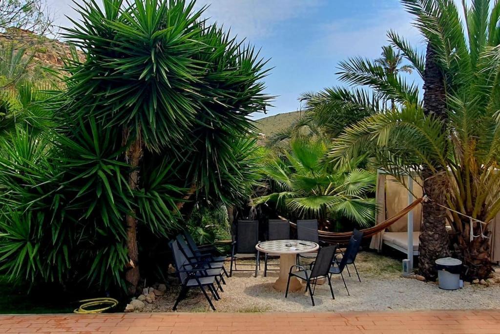 Oasis de Ifre