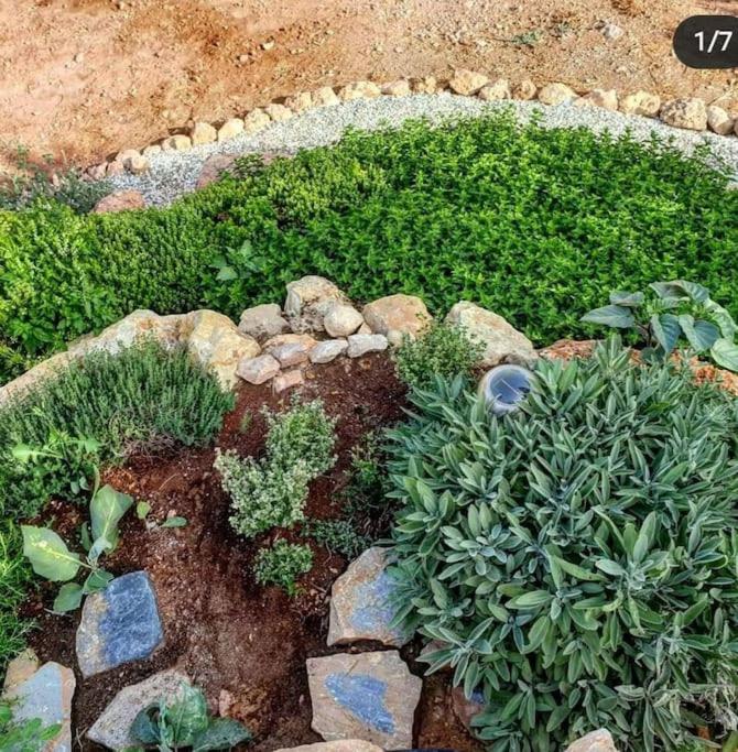 Oasis de Ifre