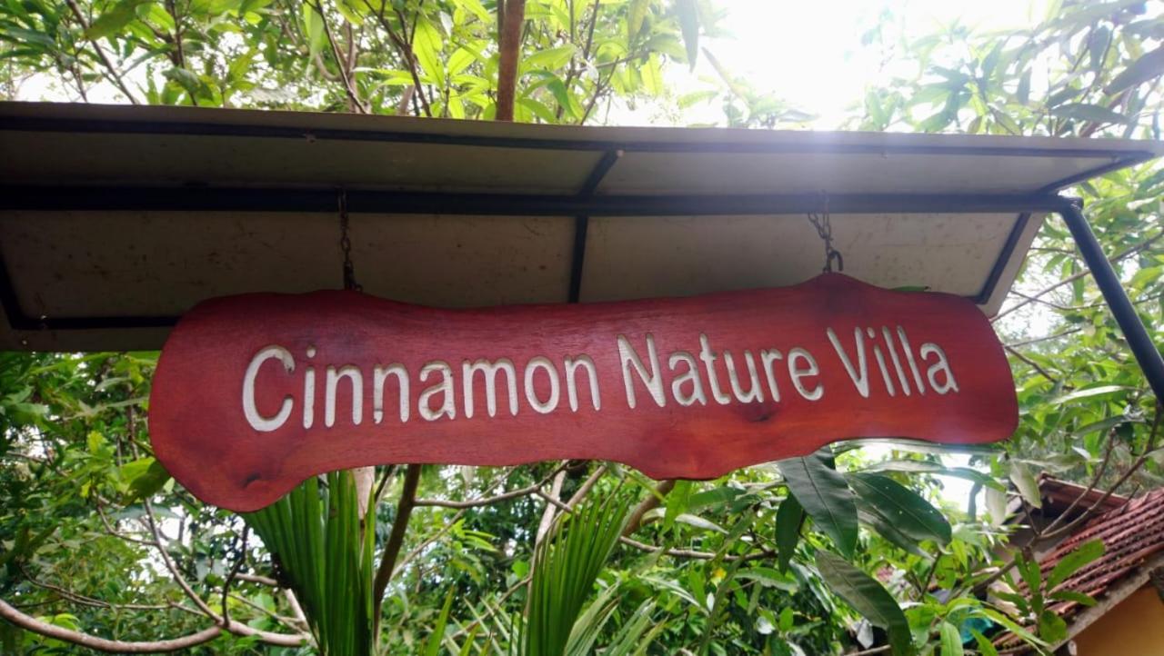 Cinnamon nature villa