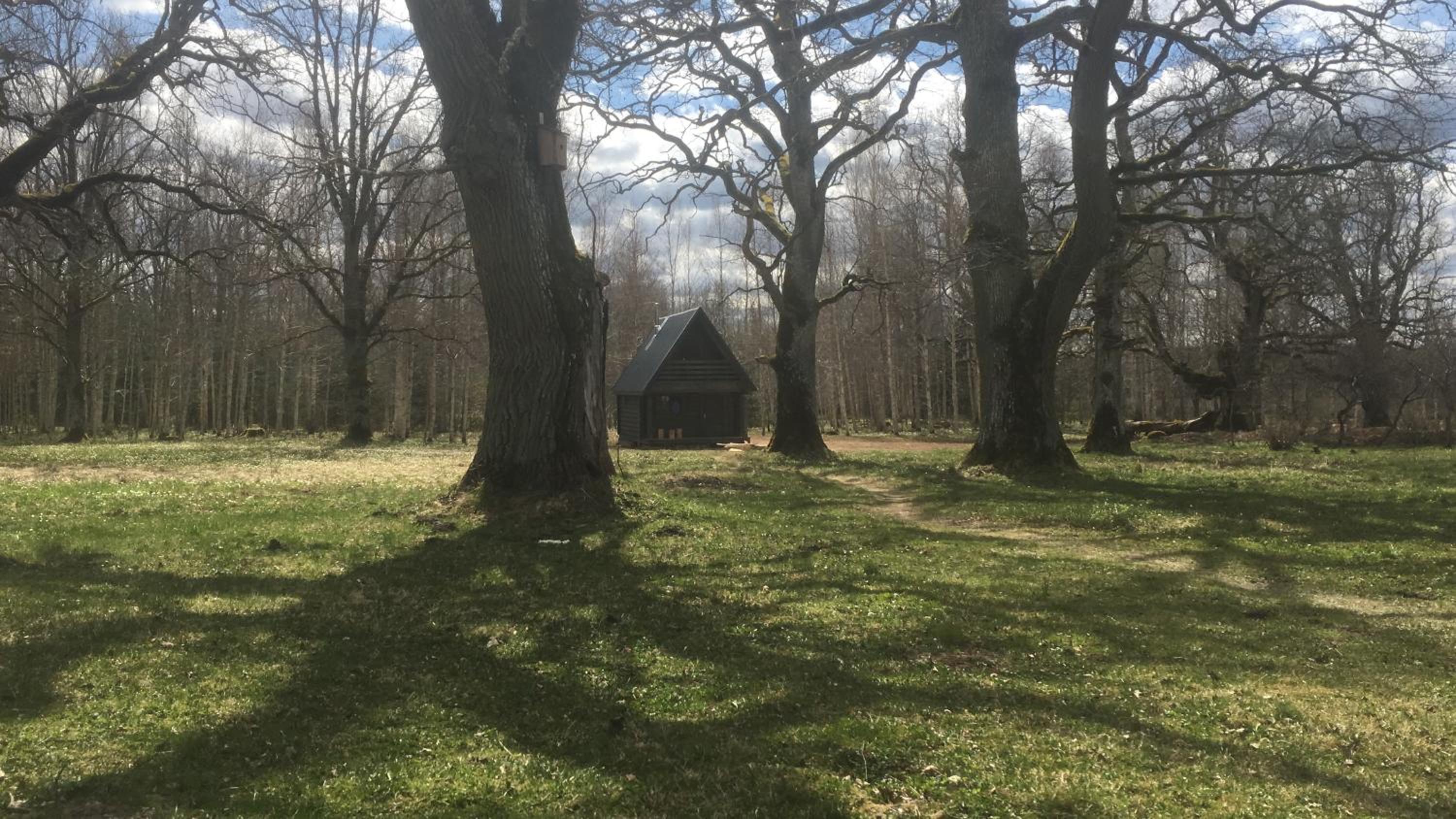Dundaga Axe & Archery guesthouse