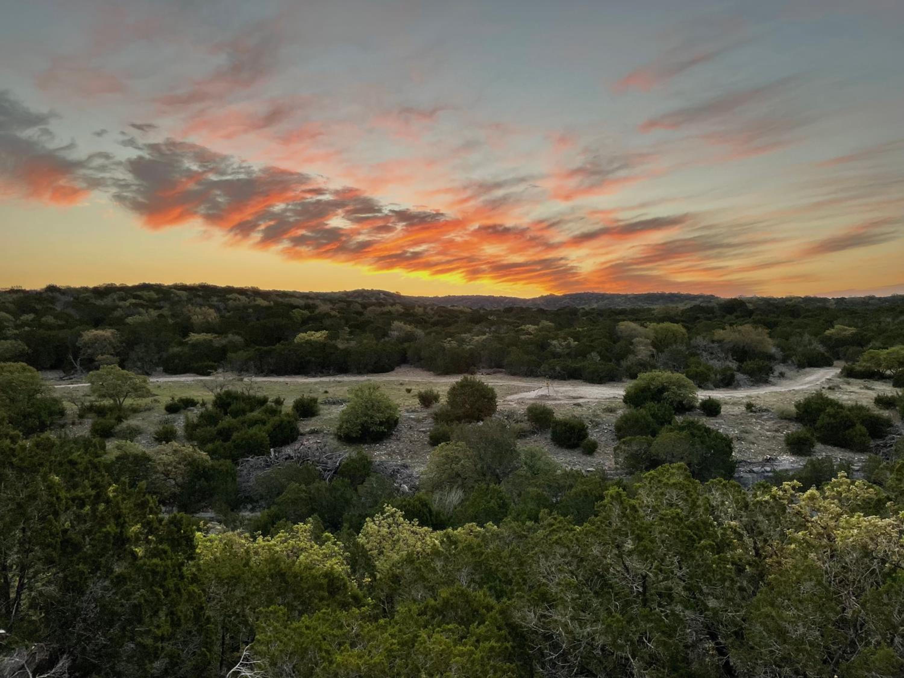 REHAB Ranch view 5