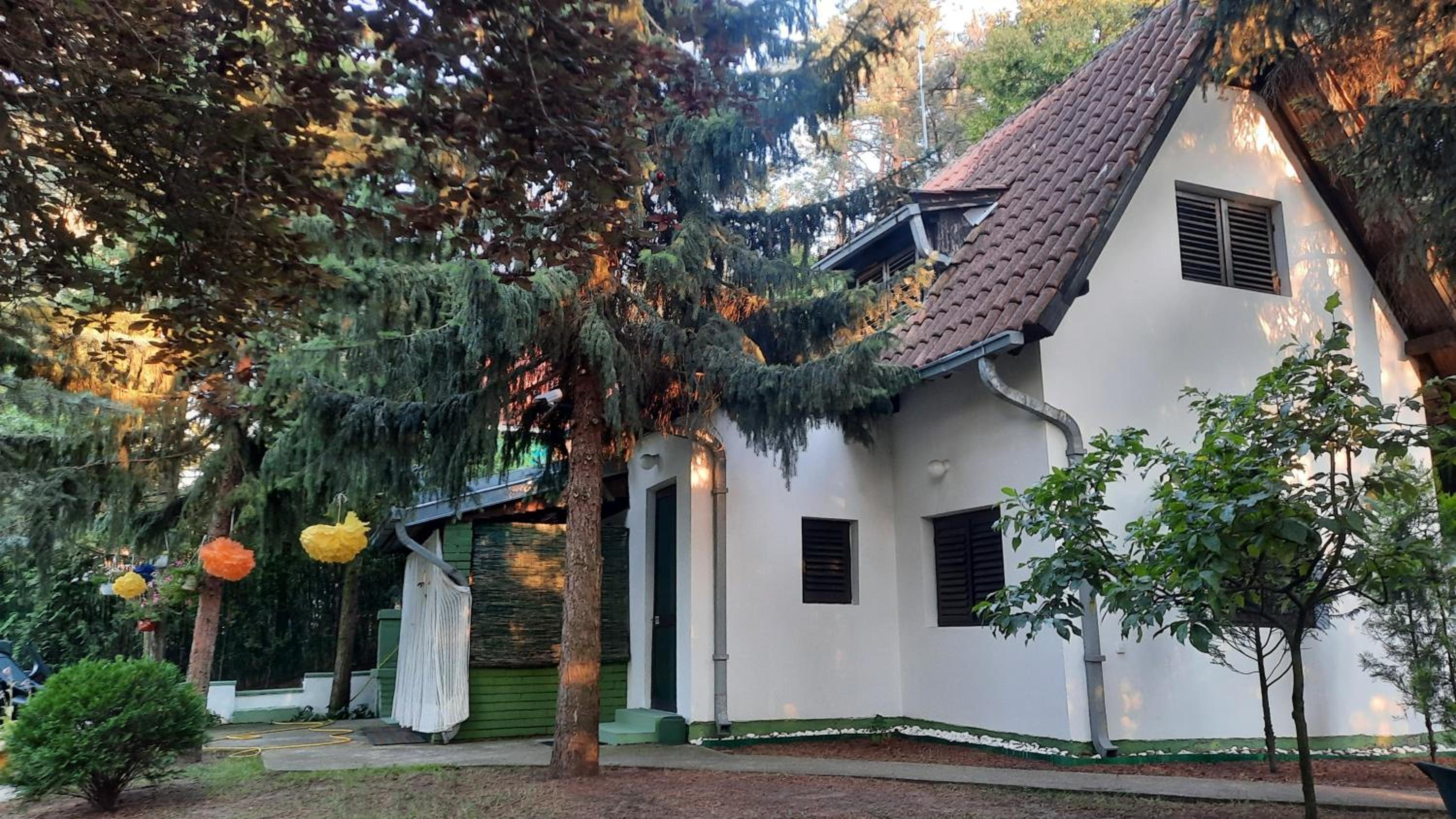 Photo 14