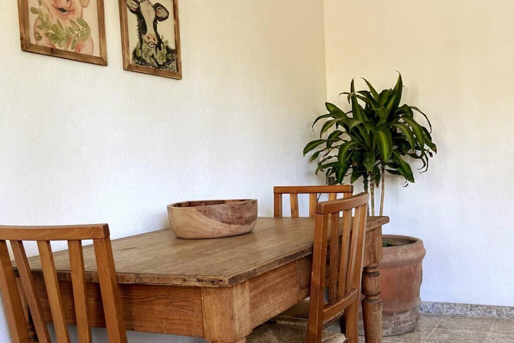 Downtown Casita with great outdoor space! view 2