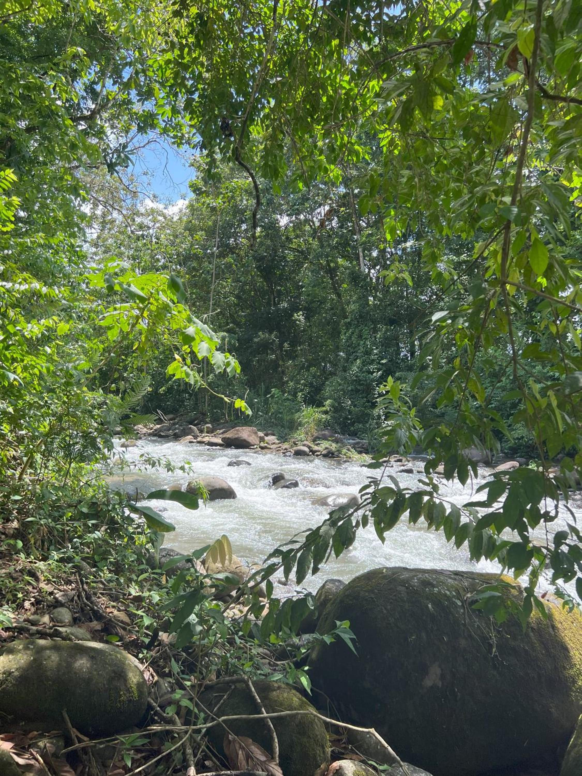 La Casa Pina Pacifica near La Fortuna