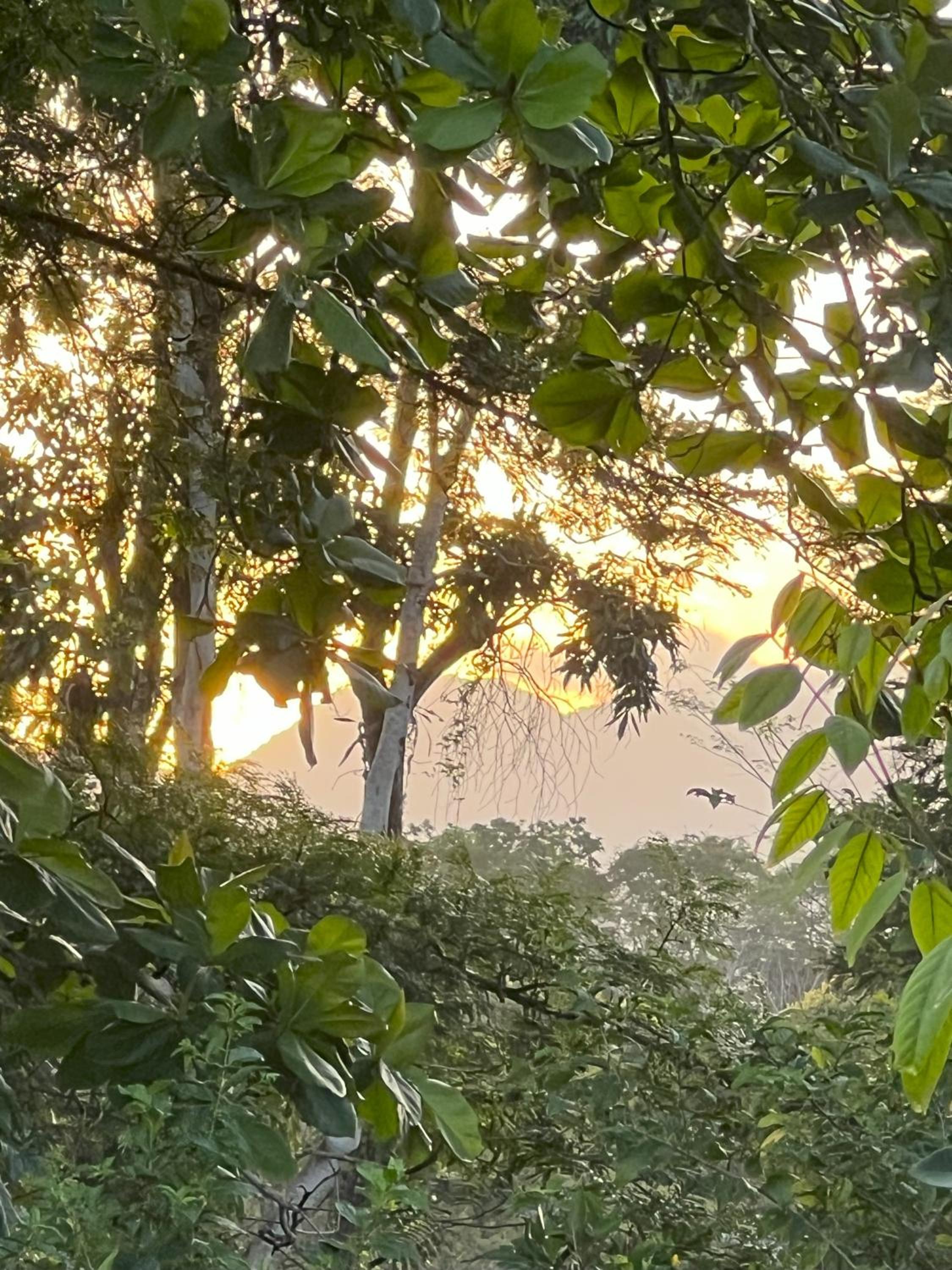 La Casa Pina Pacifica near La Fortuna