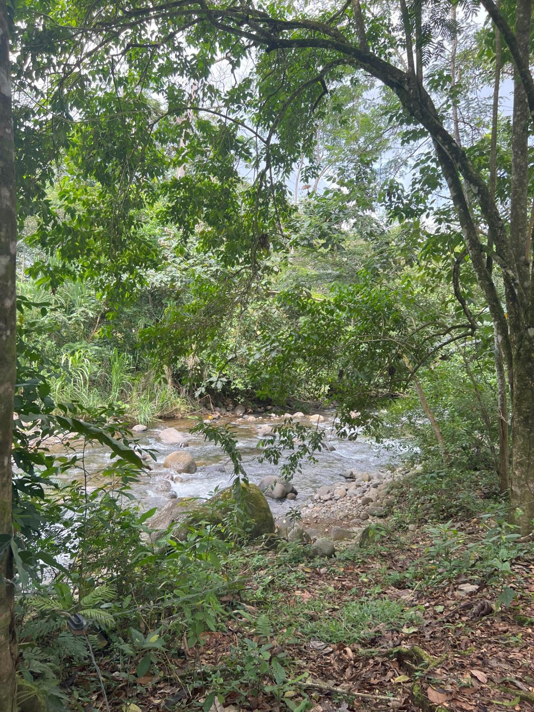 La Casa Pina Pacifica near La Fortuna