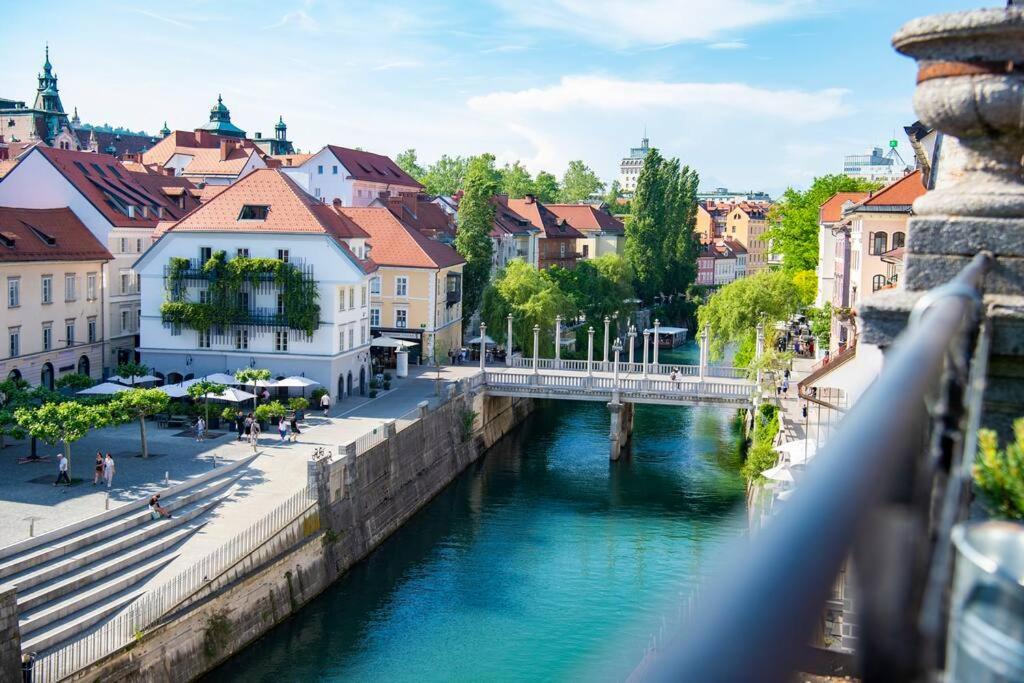 Gallus' Secret Romance view 2