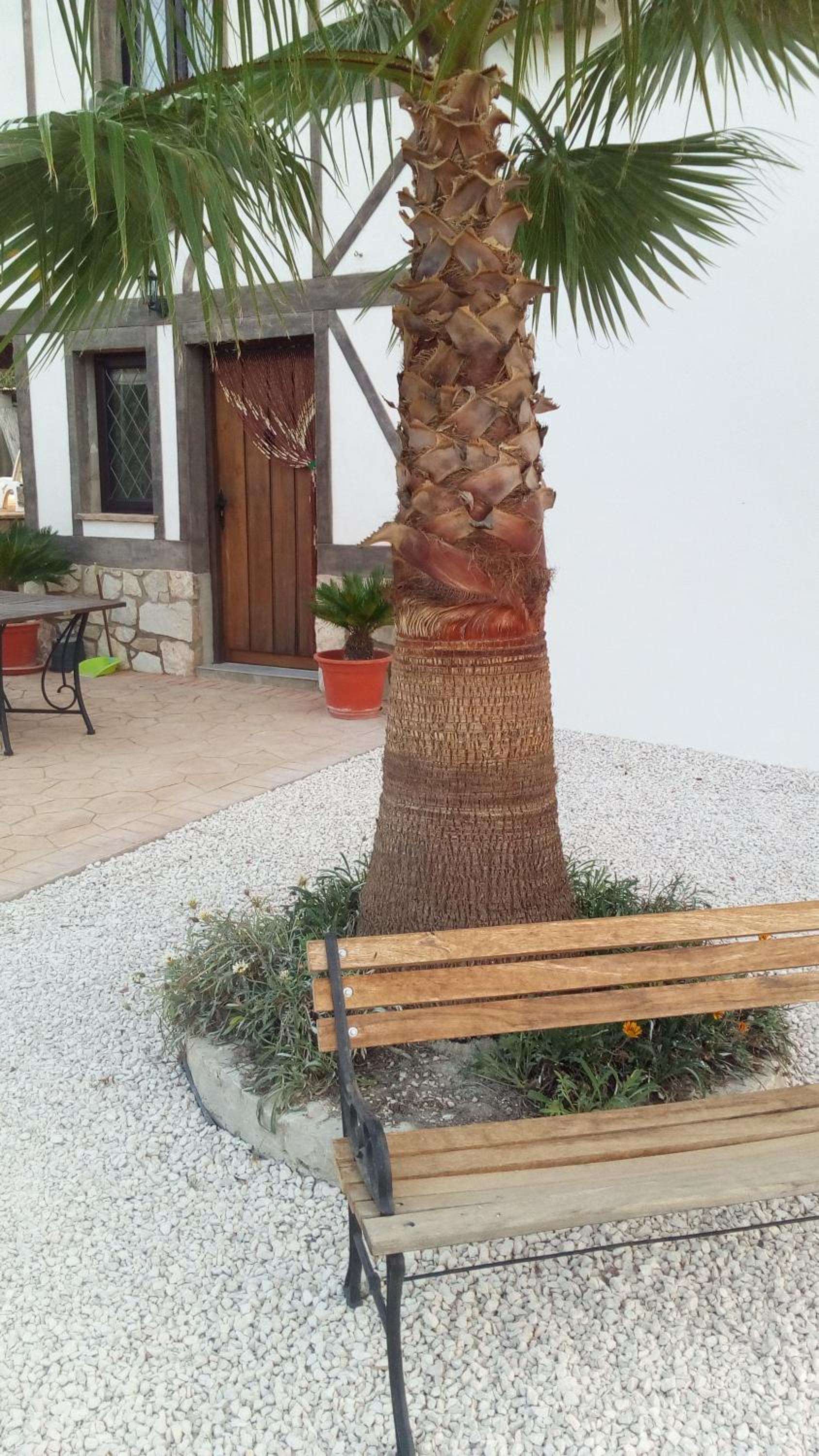 Las Marrojas, secluded Tudor country cottage