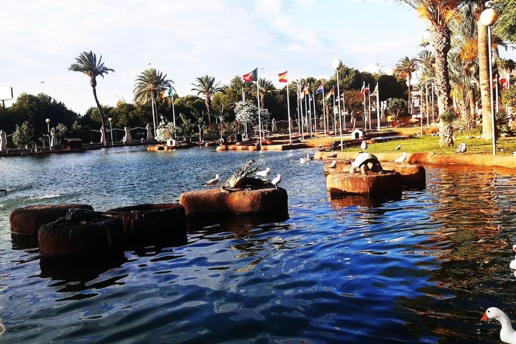 Adventure Harbour
