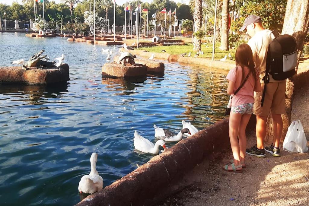 Adventure Harbour