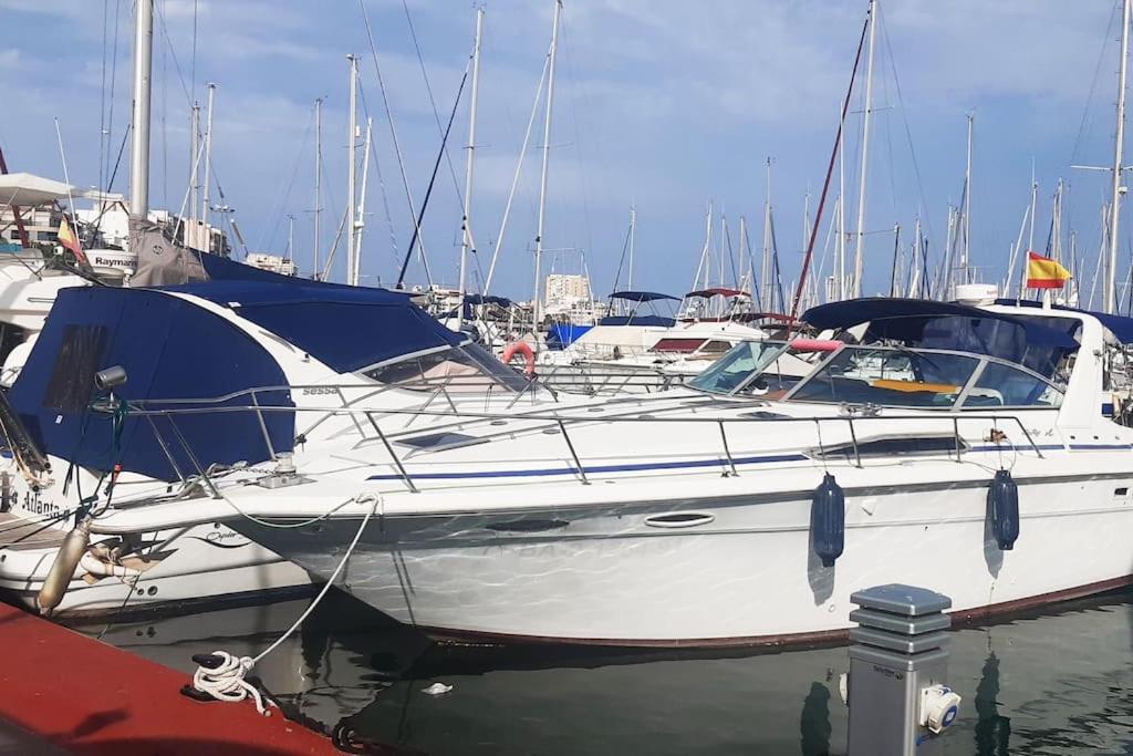 Adventure Harbour