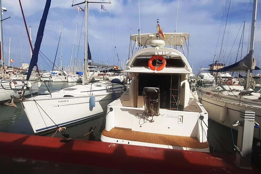 Adventure Harbour