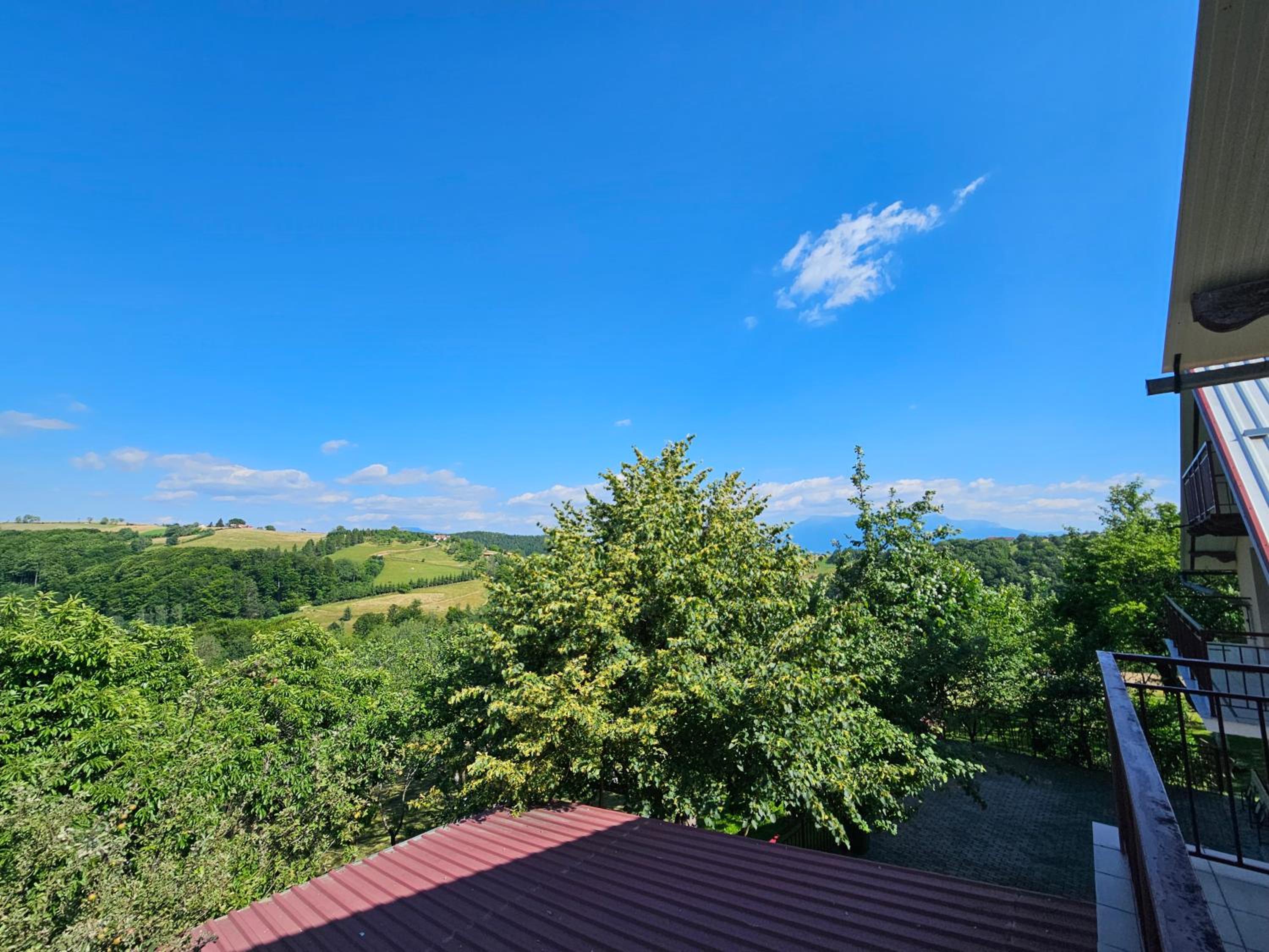 Vila pe deal in Poiana Marului view 4