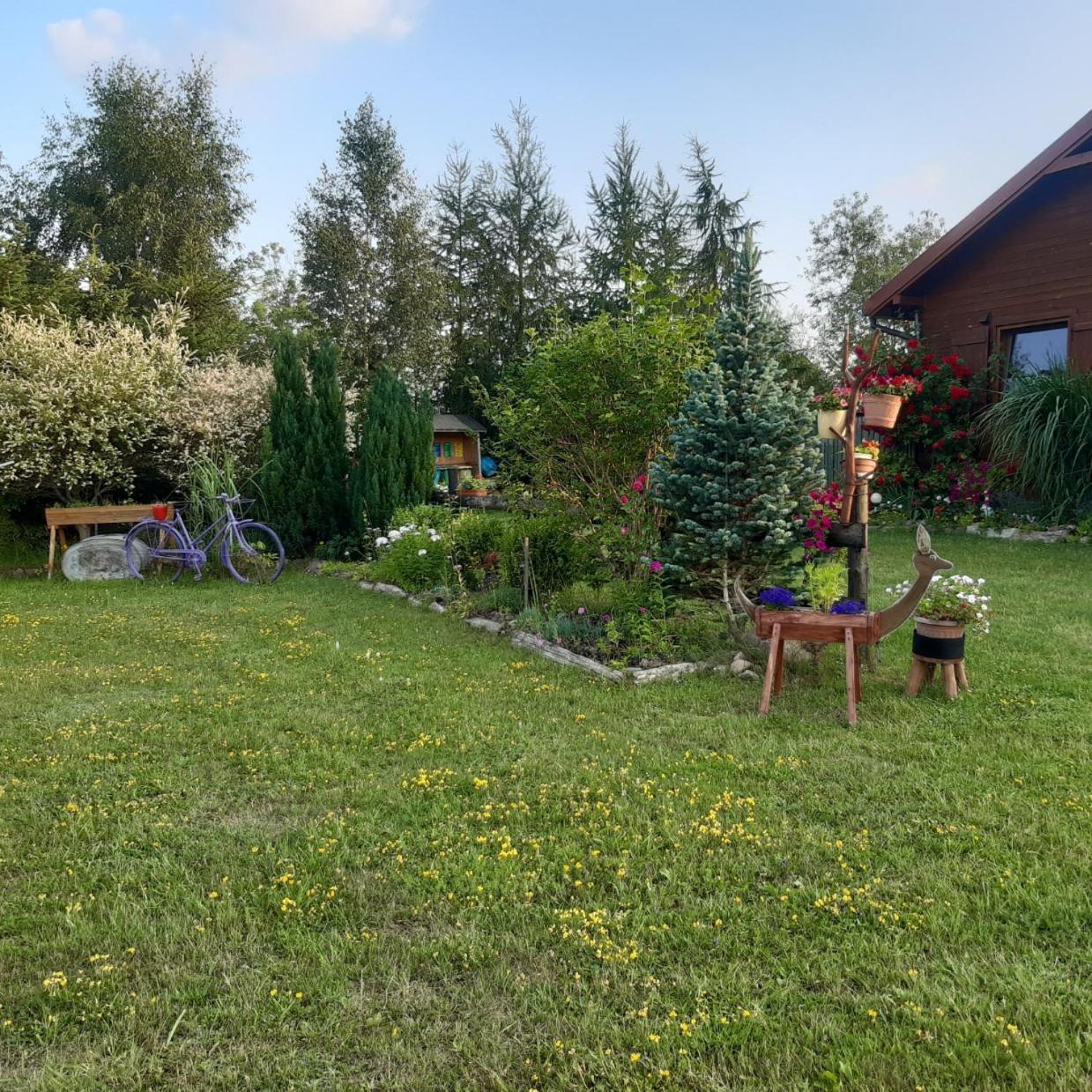 Photo 20