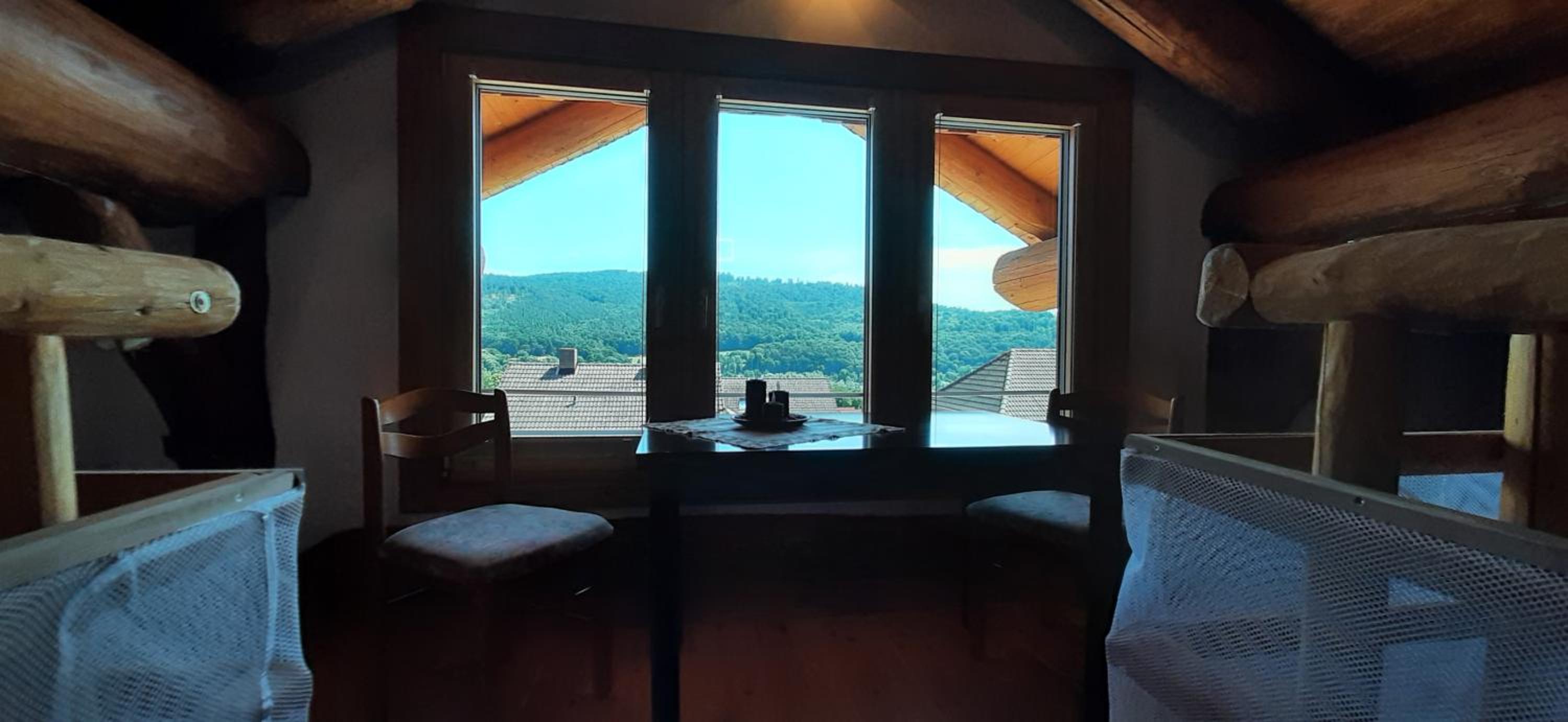 Holzhaus Wildsbergblick