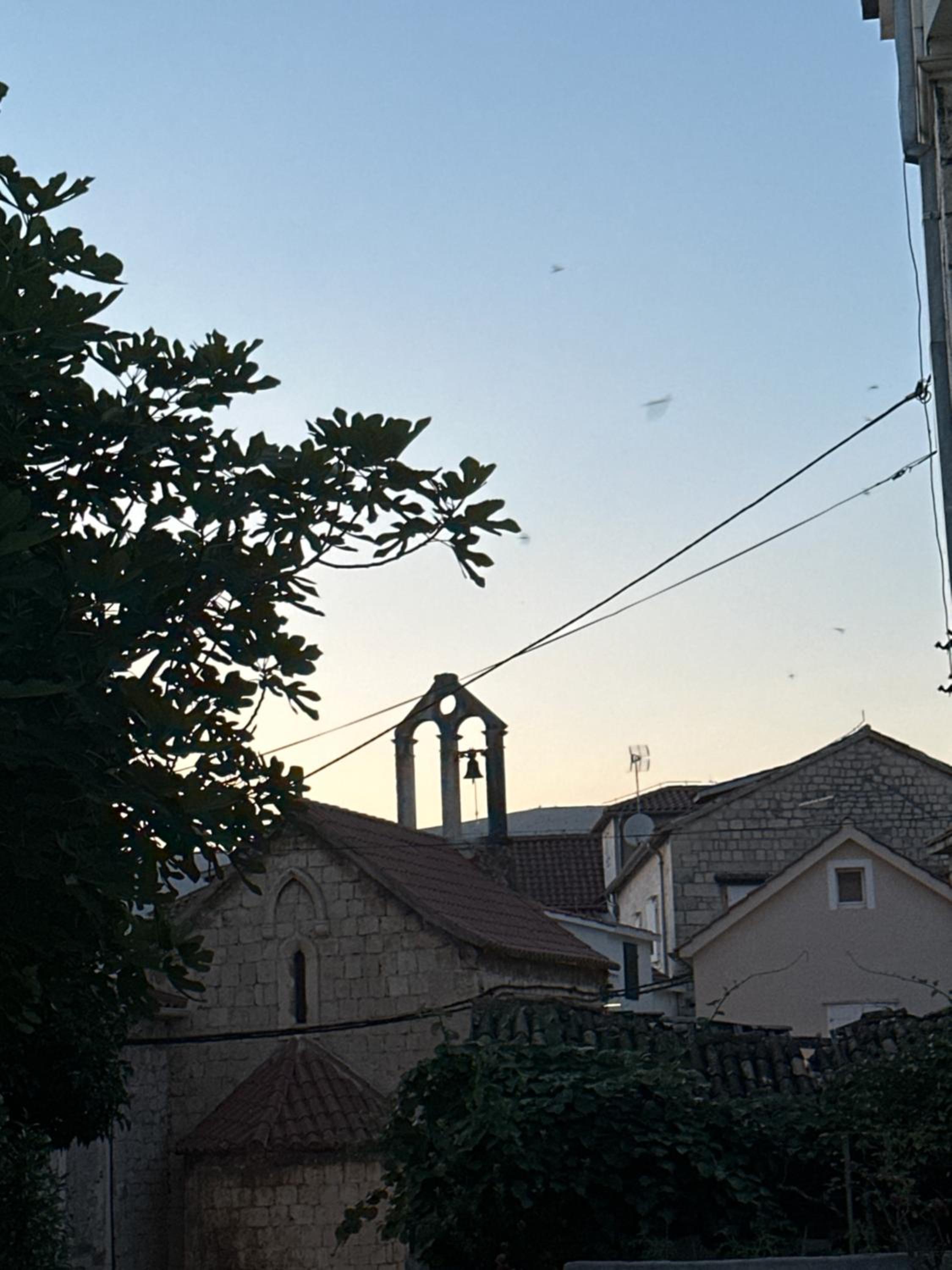 Photo 40