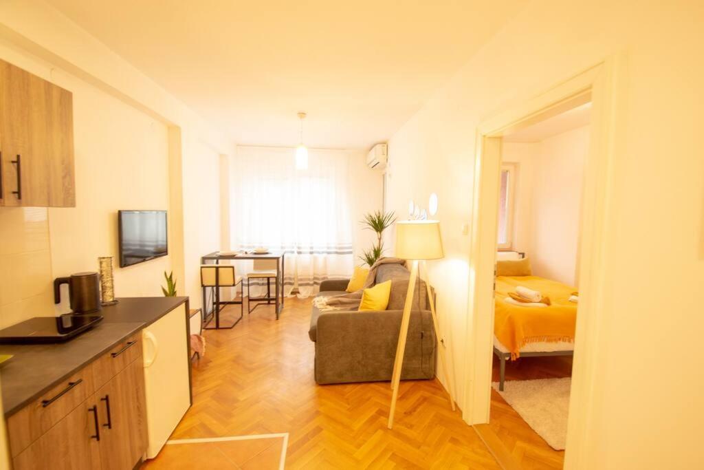 Yellow Circles Apt. on great location NEW