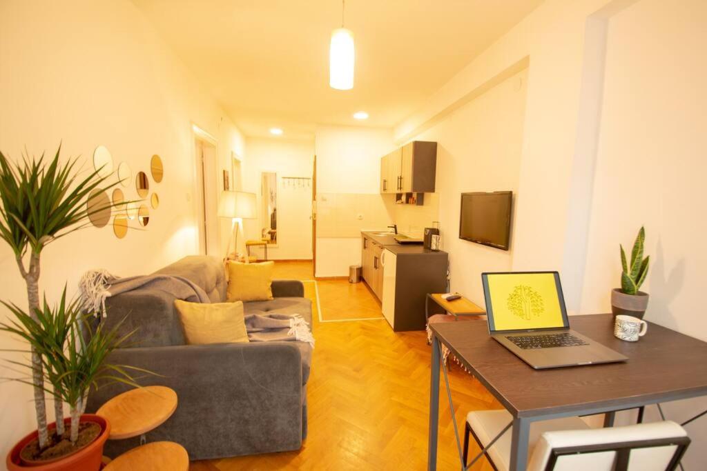 Yellow Circles Apt. on great location NEW