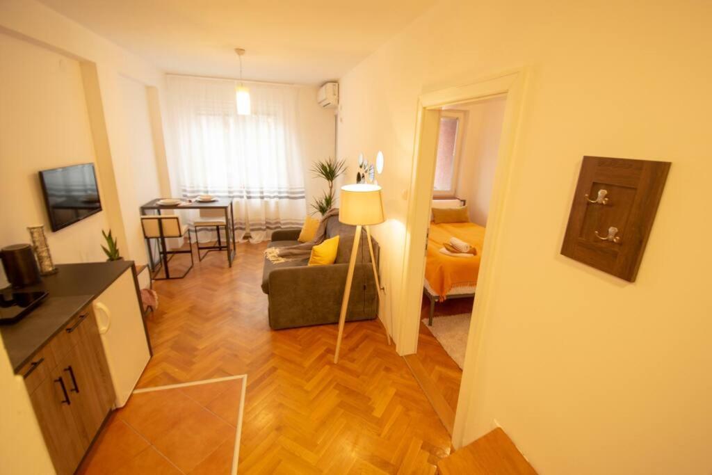 Yellow Circles Apt. on great location NEW