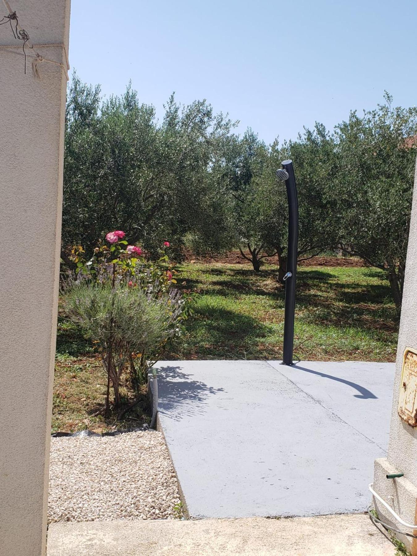 Apartmani Čiklić view 5