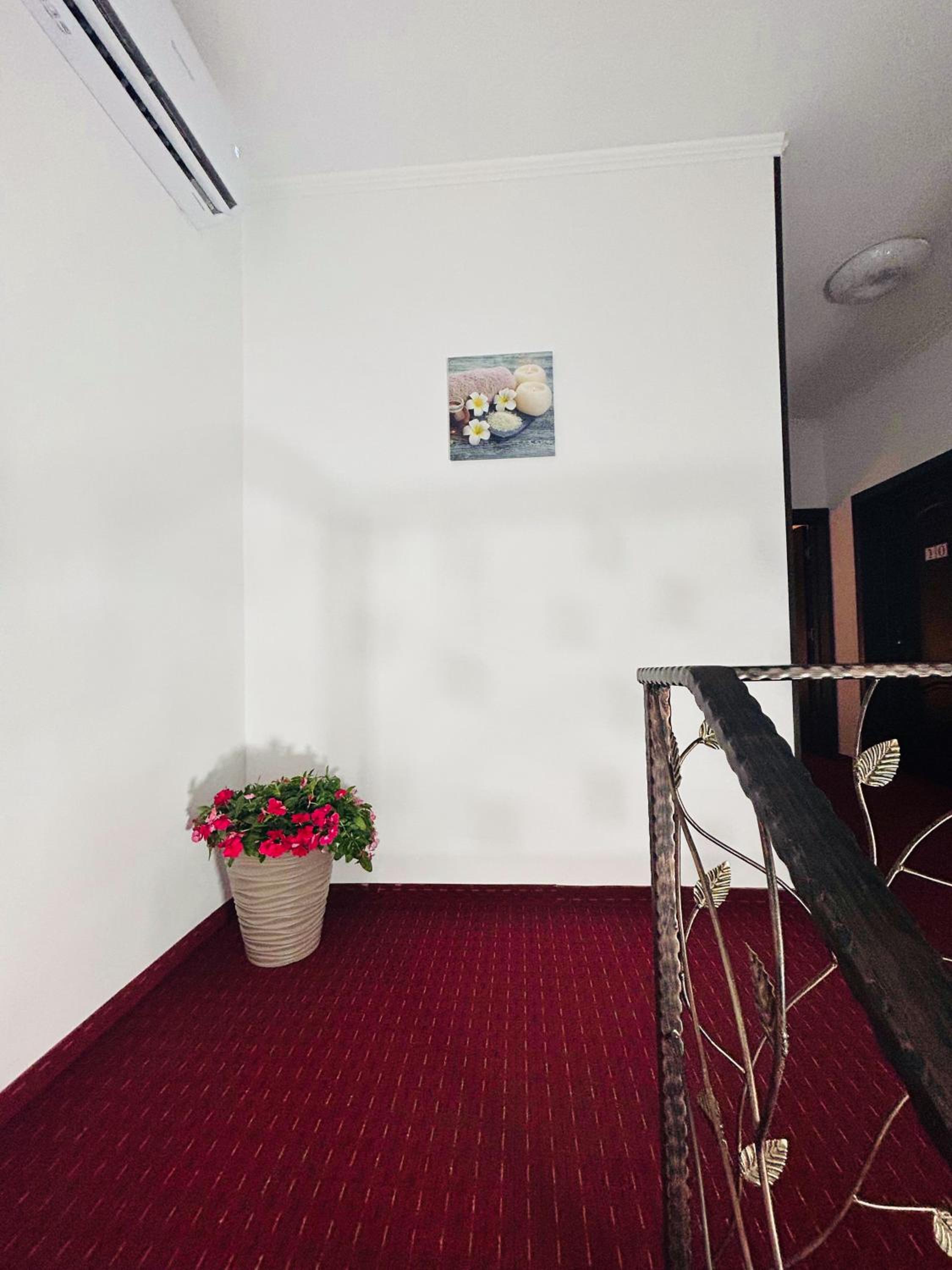 Pensiunea Patrick, photo 18
