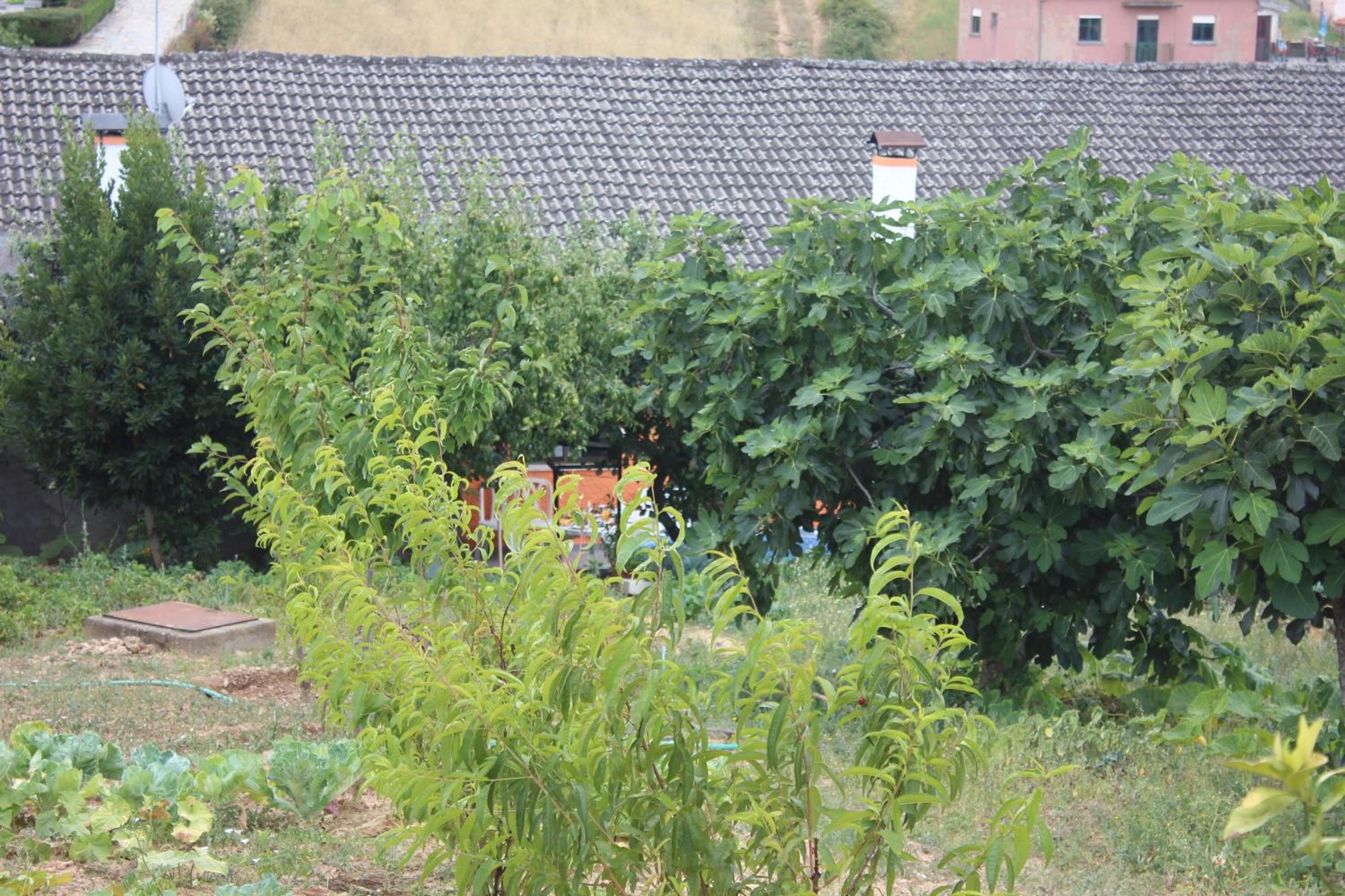 Casa do Campo