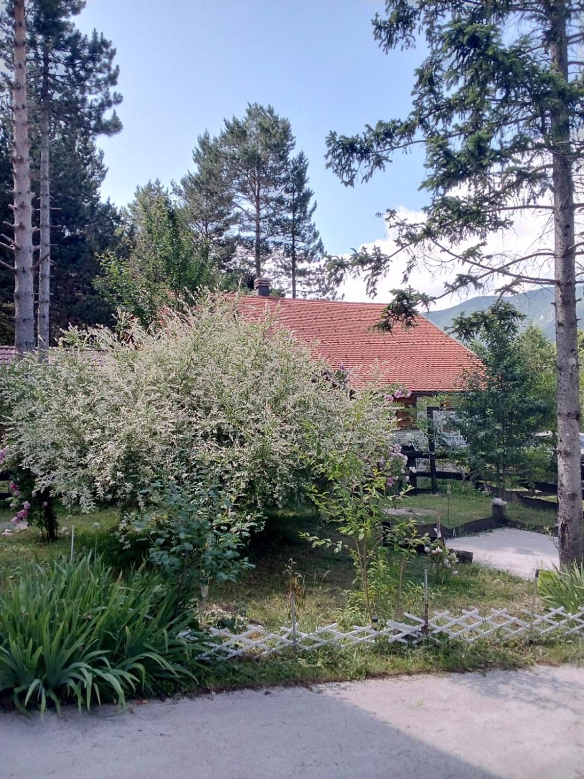 Photo 40